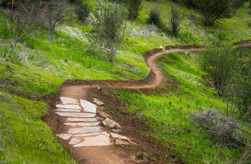 mountain bike trail design