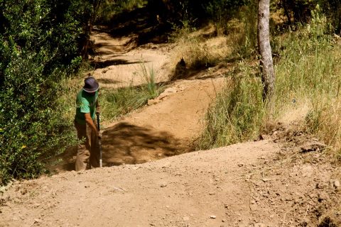 craigburn farm mtb