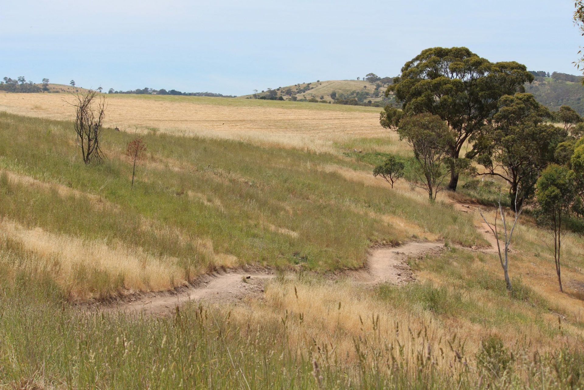 craigburn farm mtb