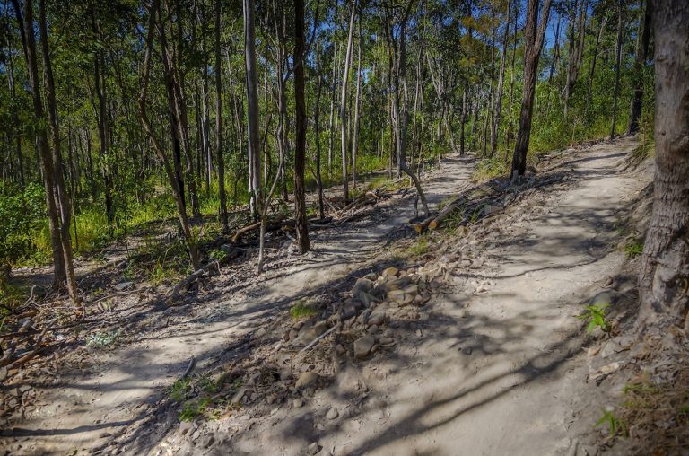 Gold Coast MTB Trail TrailScapes